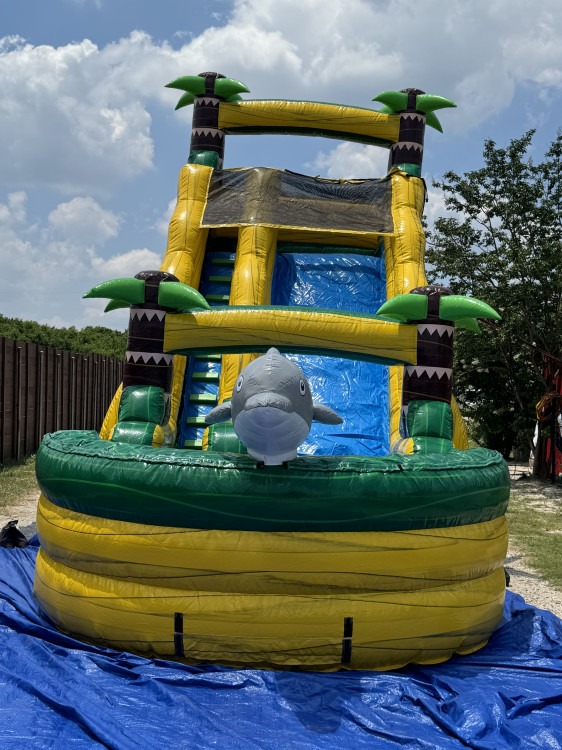Dolphin Slide