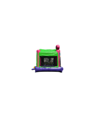 D07A4264 F3CE 4271 AA7A 9E2BD6A40029 1743567239 Tinker Bell Jump (large)