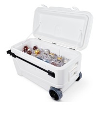 8270DB87 DD90 4993 B651 EF9A9792765F 1743740659 Igloo cooler